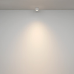 Накладной точечный светильник Maytoni Technical Rendo C095CL-GX53-W