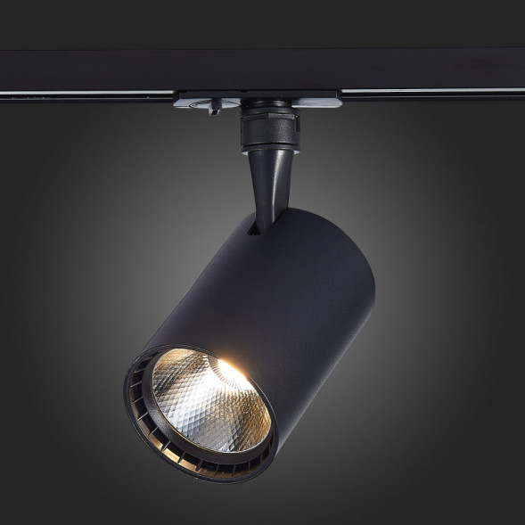 Светодиодный трековый светильник ST-Luce CAMI ST351.436.30.36