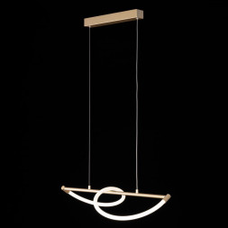 Подвесной светильник Citilux EVA CL210112