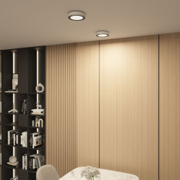 Потолочный светильник Denkirs Dual DK2840-WB