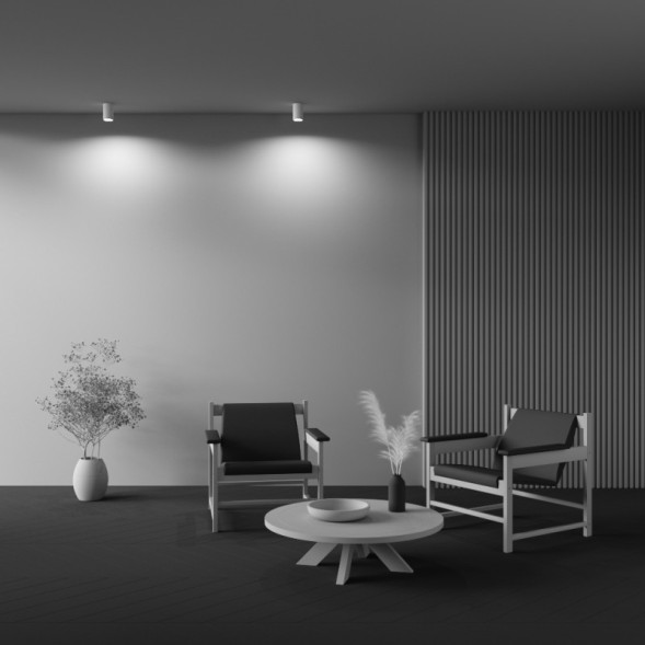 Накладной точечный светильник Maytoni Technical Conik gyps C003CW-01W