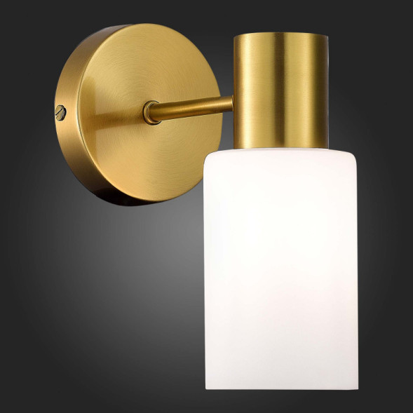 Бра Evoluce GESSI SLE1139-301-01