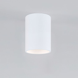 Накладной точечный светильник Elektrostandard 25011/01 GU10 белый