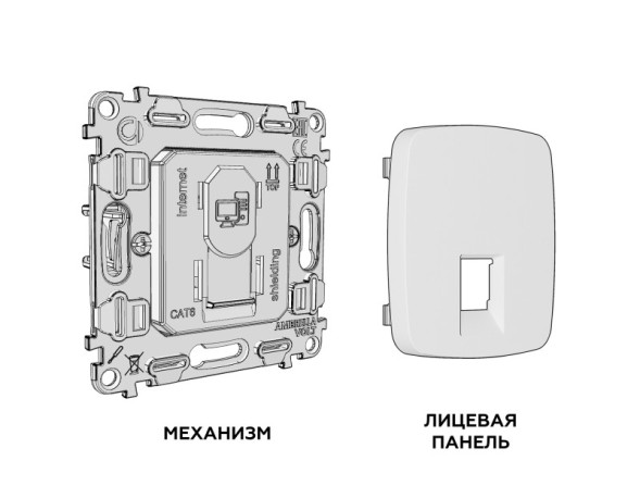 Розетка Ambrella Volt MO332005 OMEGA