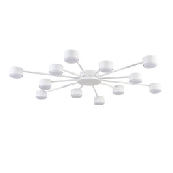 Люстра потолочная 8343/12C LUMION TORINA