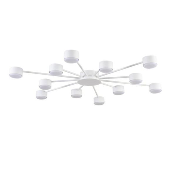 Люстра потолочная 8343/12C LUMION TORINA