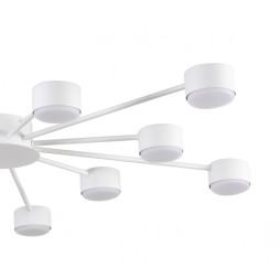 Люстра потолочная 8343/12C LUMION TORINA