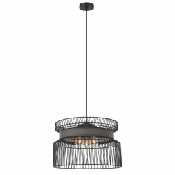 Подвесная люстра Favourite Korb 2363-2P