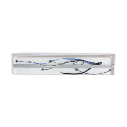 Бра LUMION 8326/6W gofera