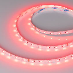 Лента Arlight 042909 40W 24V RGB IP20