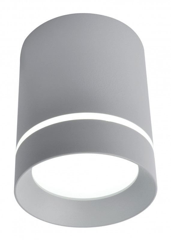 Накладной точечный светильник ARTE Lamp Elle A1909PL-1GY