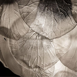 Подвесная люстра ARTE Lamp KAPRI A4078LM-9CC