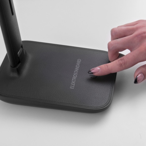 Настольная лампа Elektrostandard Pele черный (TL80960)