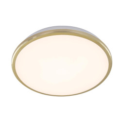 Накладной уличный светильник Citilux Луна CL702222W