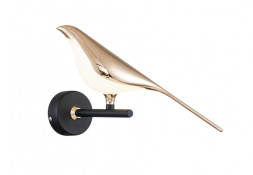 Детское бра Divinare Summer 1188/06 AP-6