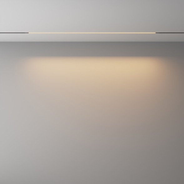 Трековый светильник Maytoni Technical BASIS TR240-2-18W3K-B
