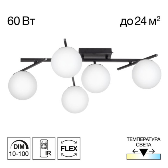 Потолочная люстра Citilux CL223152 DORSY