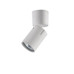 Накладной точечный светильник Vele Luce Carrisi VL8061S11