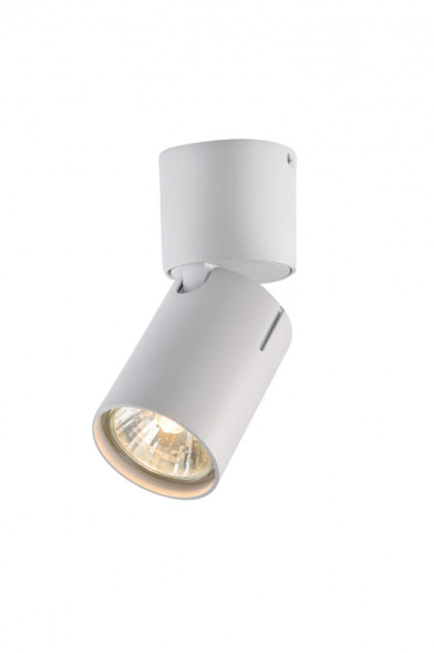 Накладной точечный светильник Vele Luce Carrisi VL8061S11