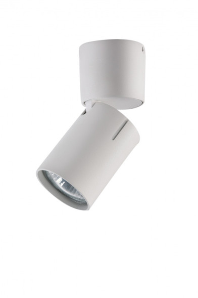 Накладной точечный светильник Vele Luce Carrisi VL8061S11