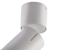 Накладной точечный светильник Vele Luce Carrisi VL8061S11