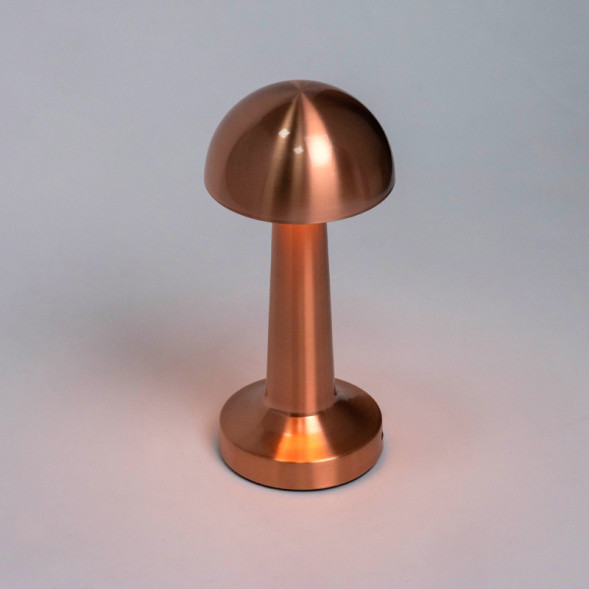 Настольная лампа 10257/L LED Escada EVO