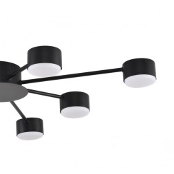 Люстра потолочная 8344/8C LUMION TORINA