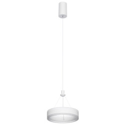 Подвесной светильник Citilux ДУЭТ CL719010