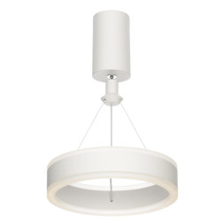 Подвесной светильник Citilux ДУЭТ CL719010