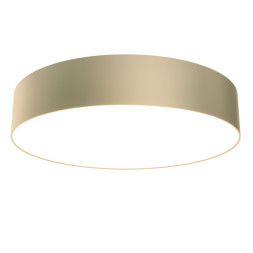 Потолочный светильник Maytoni Technical C032CL-L43MG4K Zon