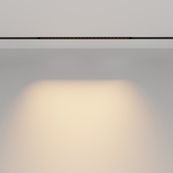 Магнитный трековый светильник Maytoni Technical TR031-2-24W2.7K-B Points