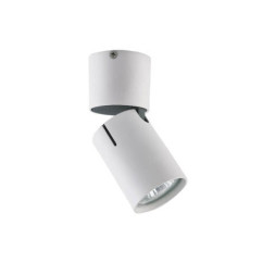 Накладной точечный светильник Vele Luce Carrisi VL8061S21