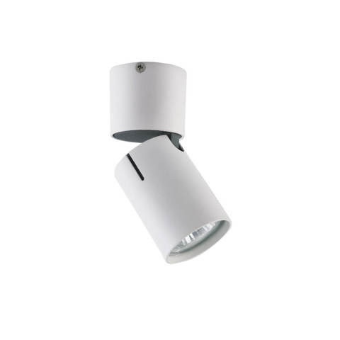 Накладной точечный светильник Vele Luce Carrisi VL8061S21