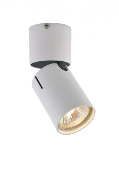 Накладной точечный светильник Vele Luce Carrisi VL8061S21