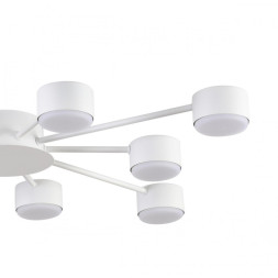 Люстра потолочная 8343/10C LUMION TORINA