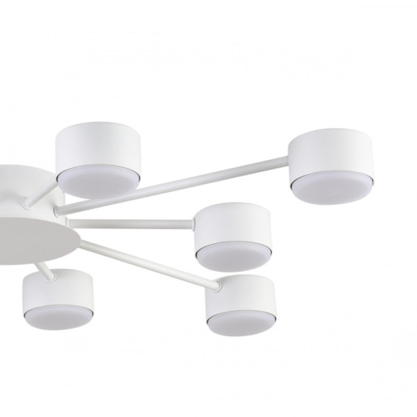 Люстра потолочная 8343/10C LUMION TORINA