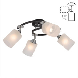 Спот Citilux Сиерра CL119241