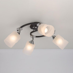 Спот Citilux Сиерра CL119241