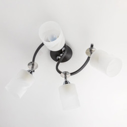 Спот Citilux Сиерра CL119241