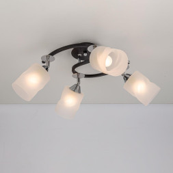 Спот Citilux Сиерра CL119241