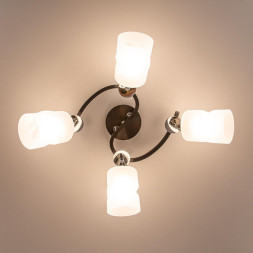 Спот Citilux Сиерра CL119241