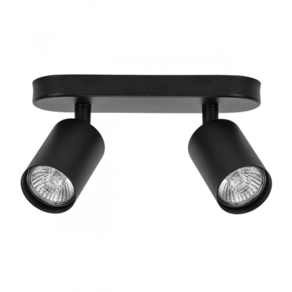 Спот ARTE Lamp Aquarius A3226PL-2BK