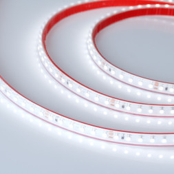 Лента Arlight RS 2-5000 3528 024574 480W 24V 4100lm белый (холодный) IP67