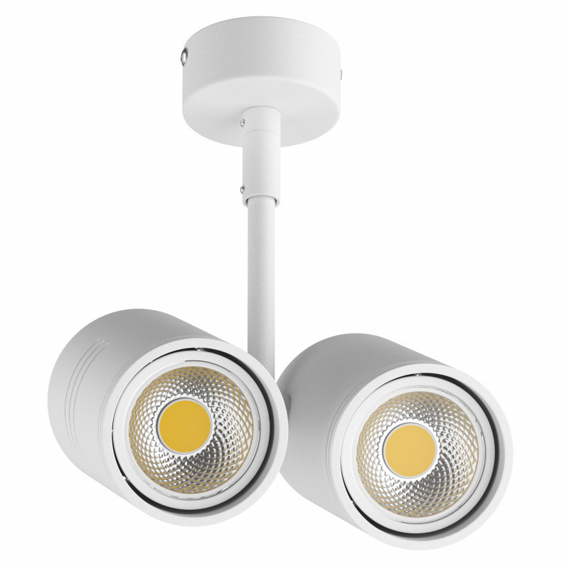 Накладной точечный светильник Lightstar RULLO 214446