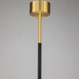 Люстра на штанге Favourite MAXIMO 2623-12P