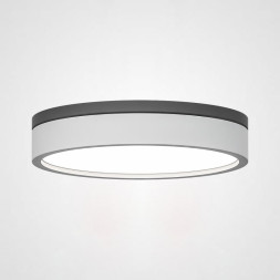 Потолочный светильник ImperiumLoft 101707-26