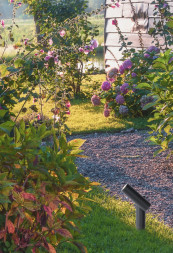 Уличный грунтовый светильник LUCIDE TATUM 27894/05/29