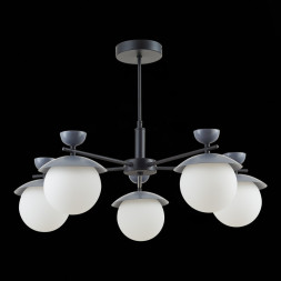 Люстра на штанге Evoluce Genova SLE220202-05