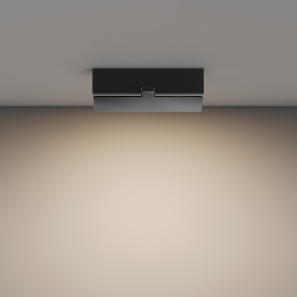 Потолочный светильник Maytoni Technical Basis Rot C133CL-12W3K-B