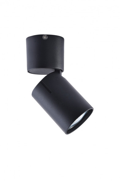 Накладной точечный светильник Vele Luce Carrisi VL8062S01